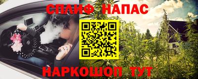 прущие грибы Кунгур