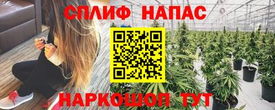 прущие грибы Кунгур