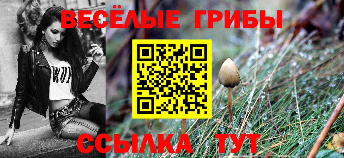 Псилоцибиновые грибы мухоморы  Вход с VPN  Кинешма 